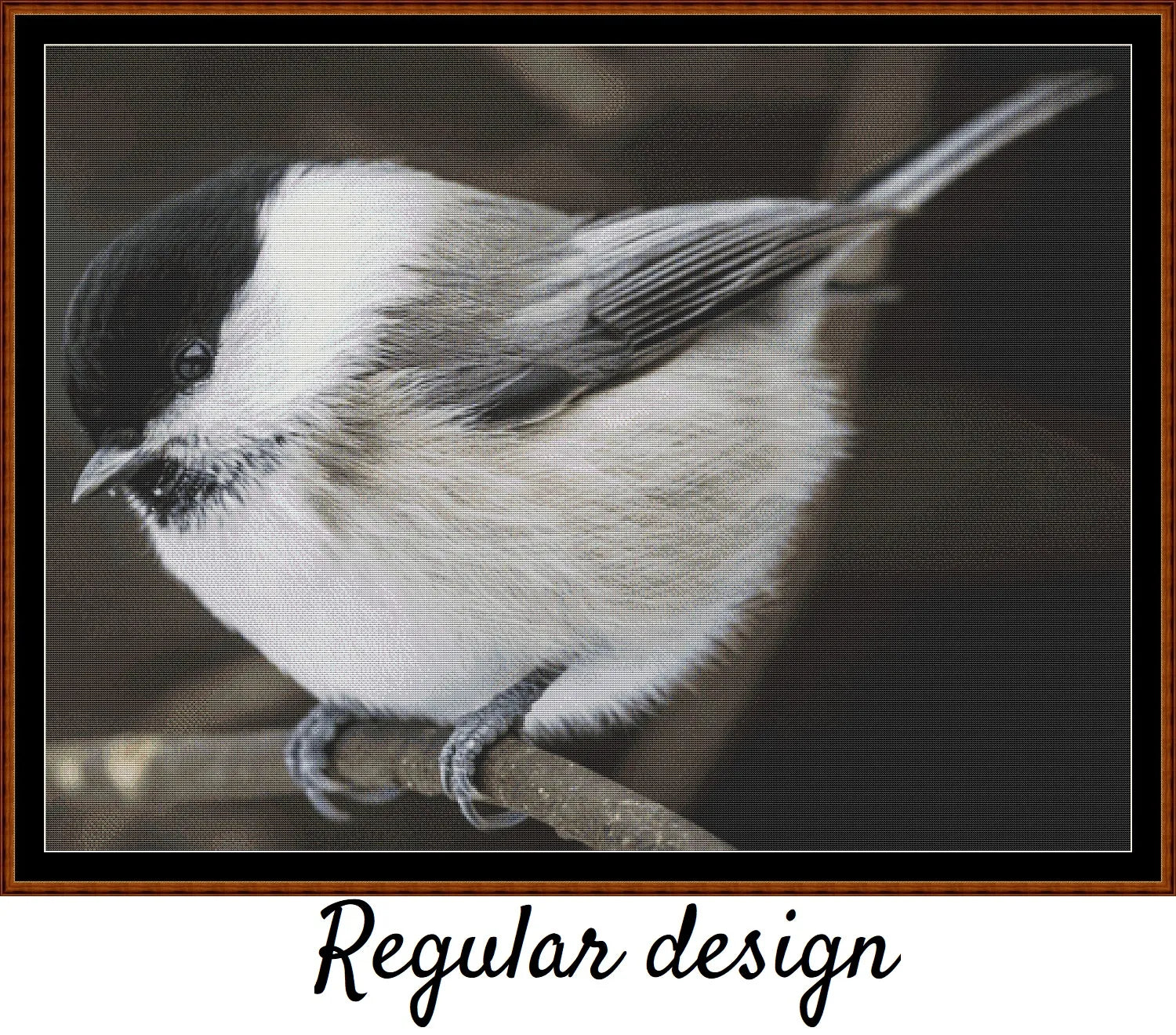 Willow Tit 