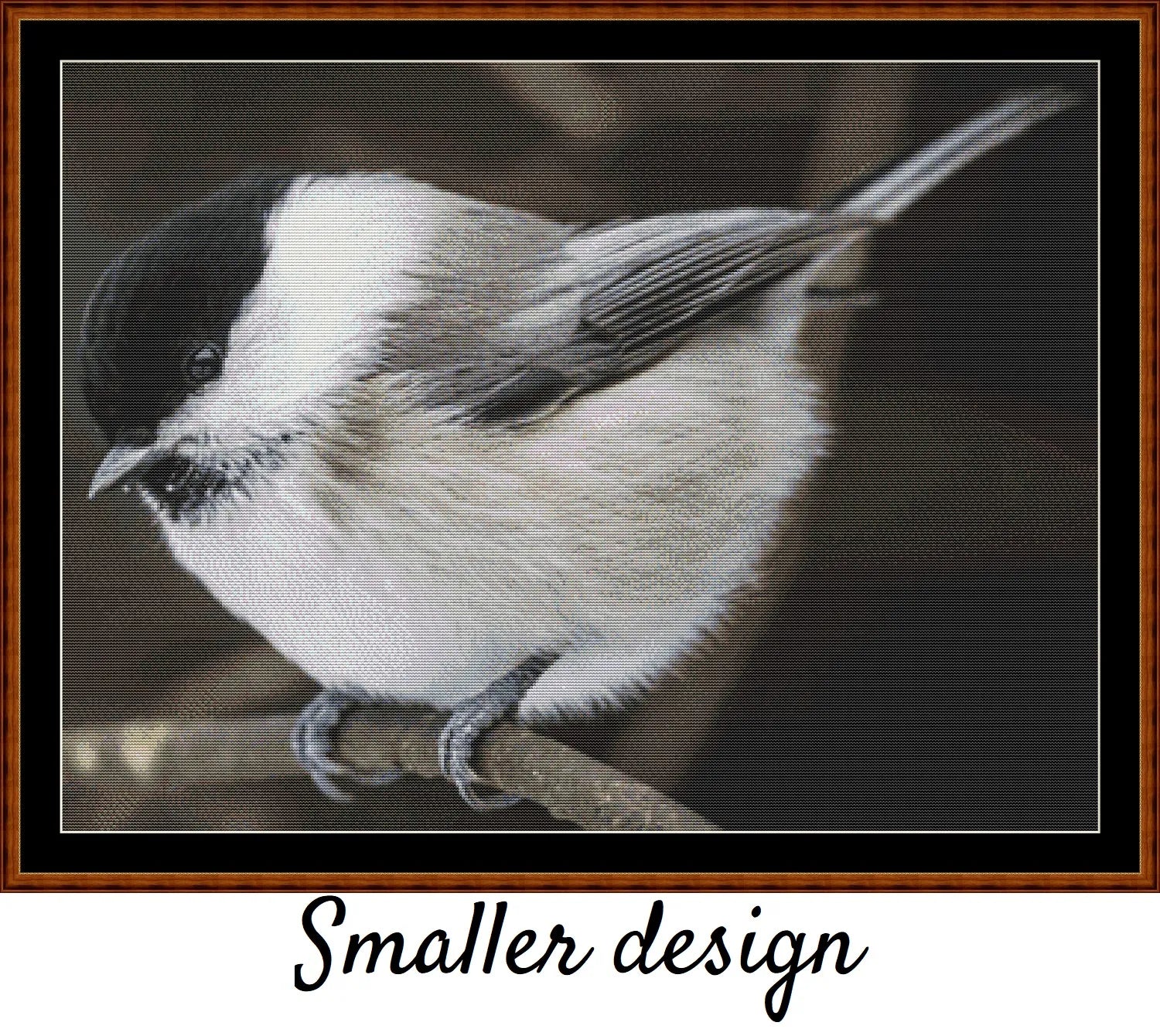Willow Tit 