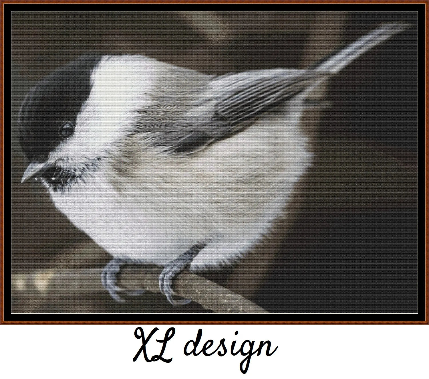 Willow Tit 