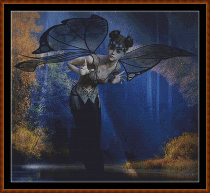 Black Lace Fairy 