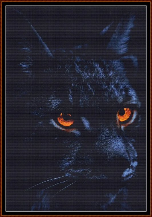 Glowing Eyes - Black Cat 