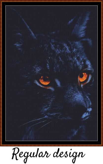 Glowing Eyes - Black Cat 