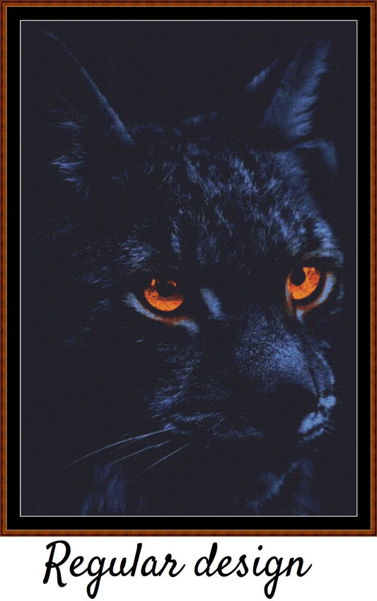 Glowing Eyes - Black Cat 