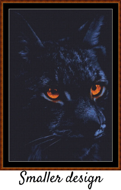 Glowing Eyes - Black Cat 