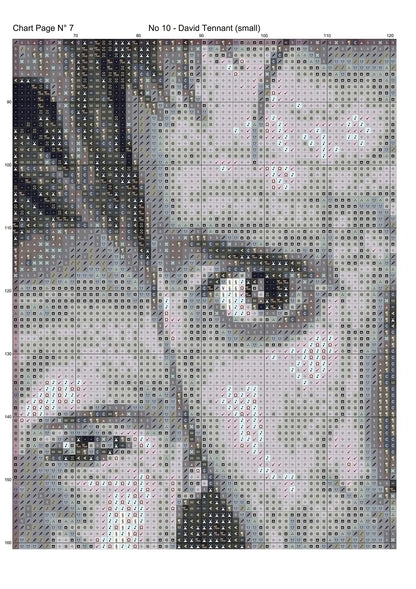 No 10 - David Tennant 