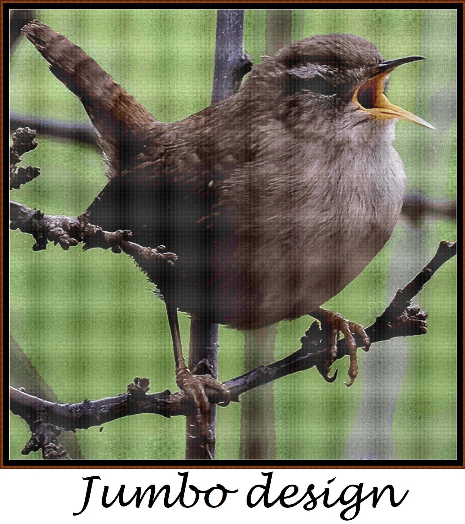 Garden Birds - Wren 
