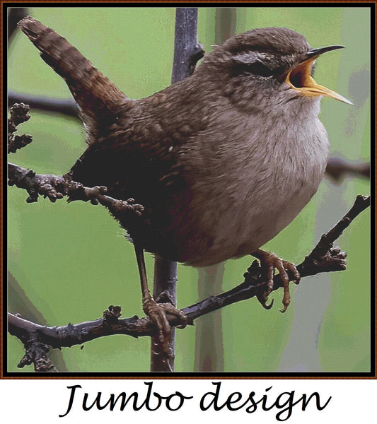 Garden Birds - Wren 