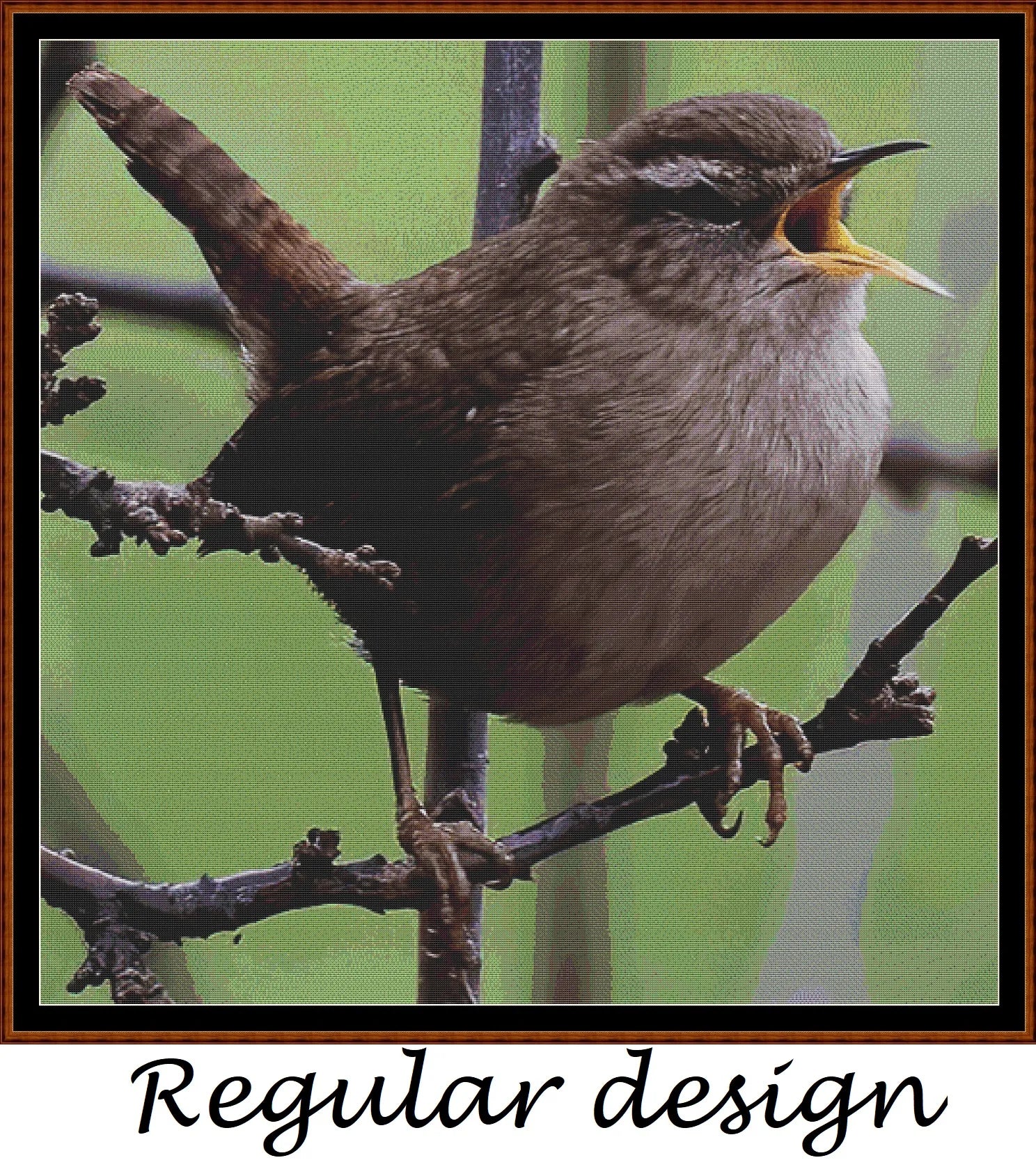 Garden Birds - Wren 