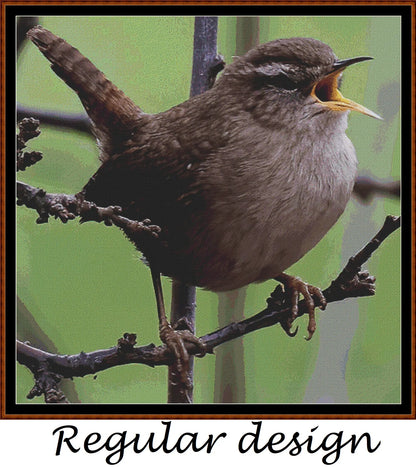 Garden Birds - Wren 