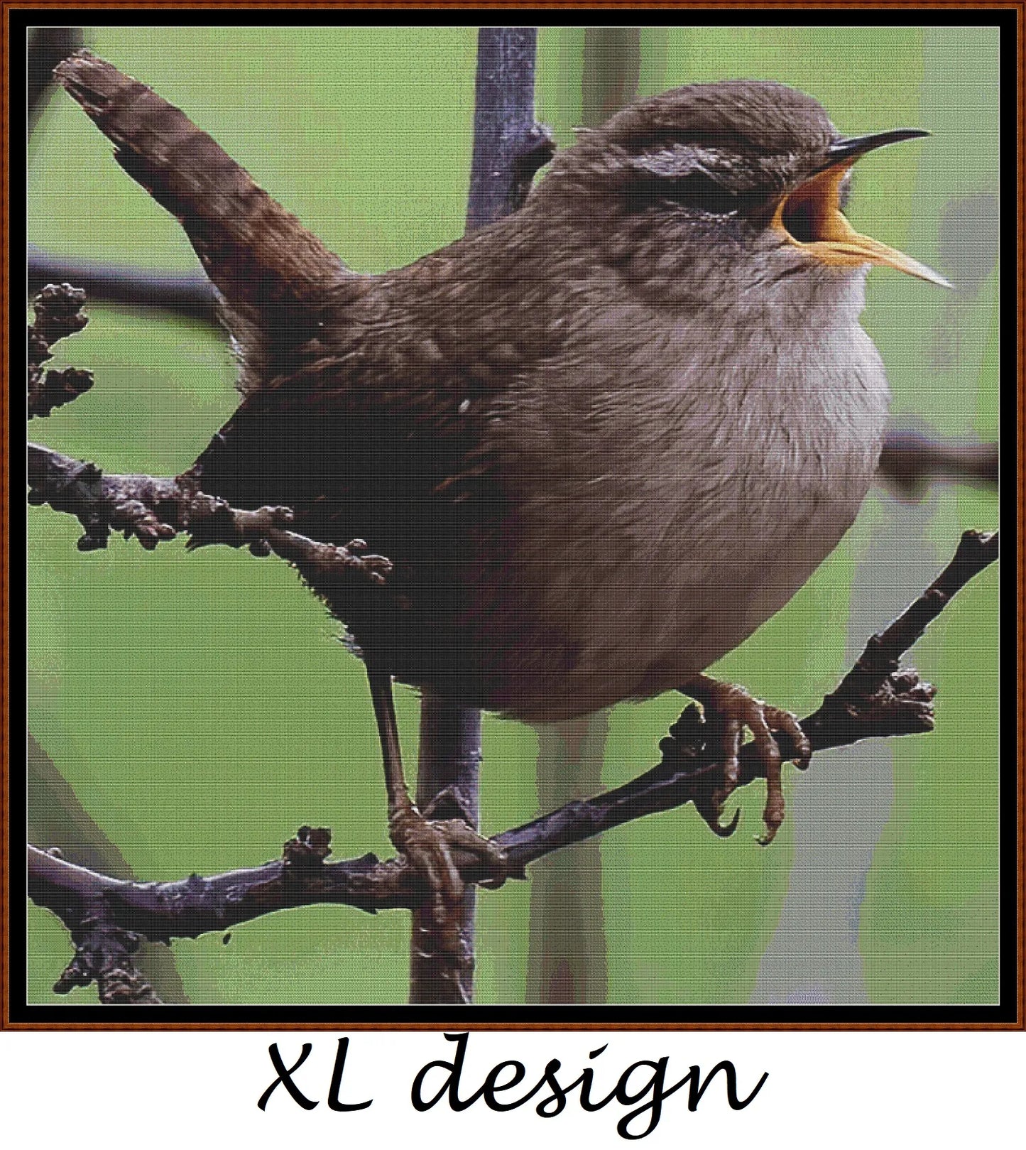 Garden Birds - Wren 