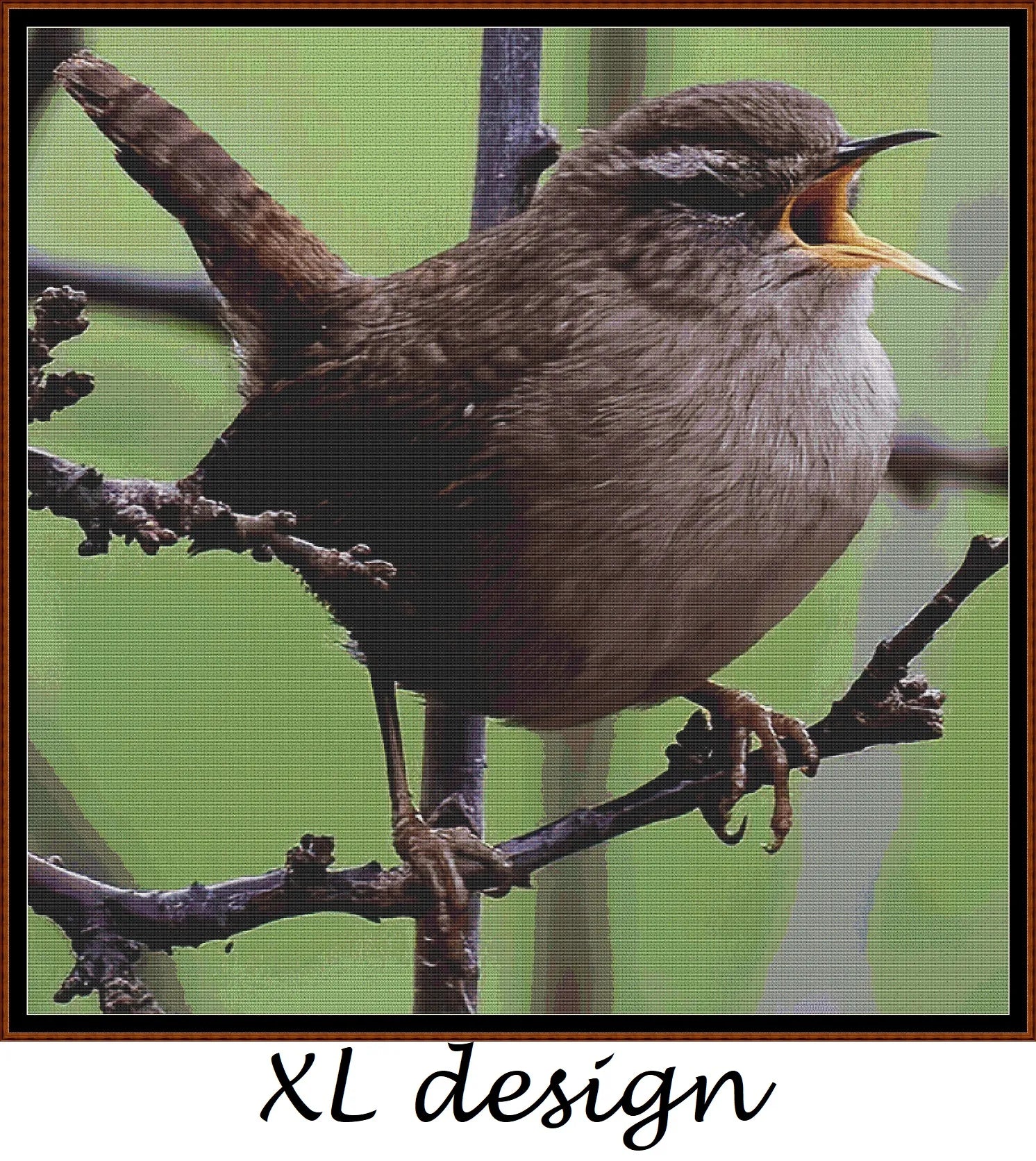 Garden Birds - Wren 