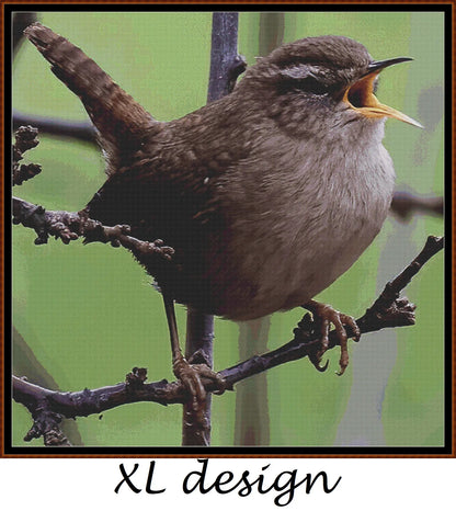 Garden Birds - Wren 
