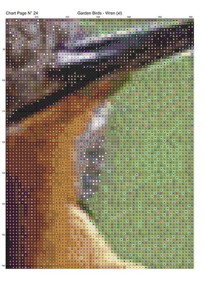 Garden Birds - Wren 