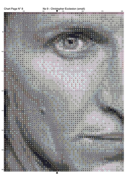 No 9 - Christopher Eccleston 