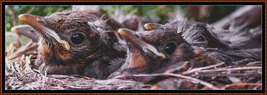 In The Nest 