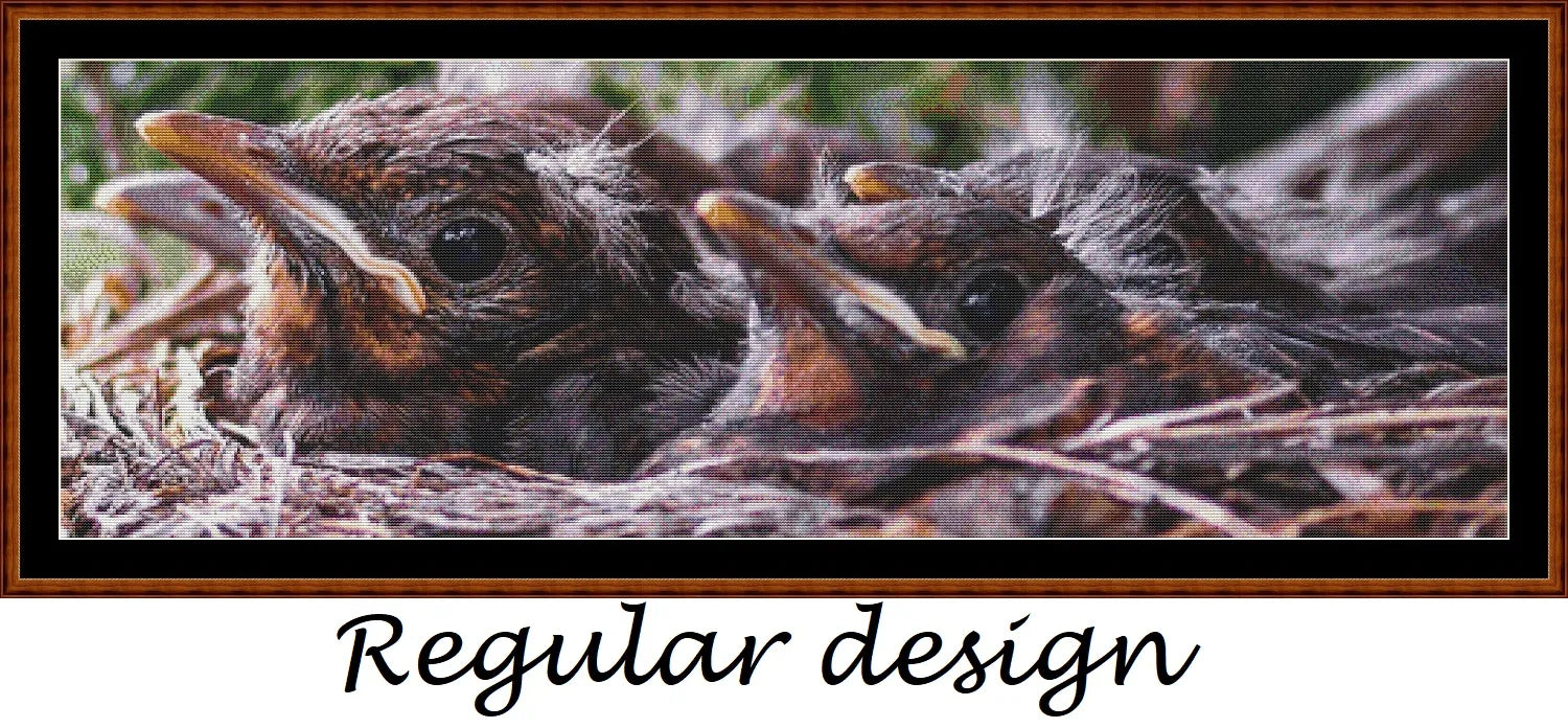 In The Nest 
