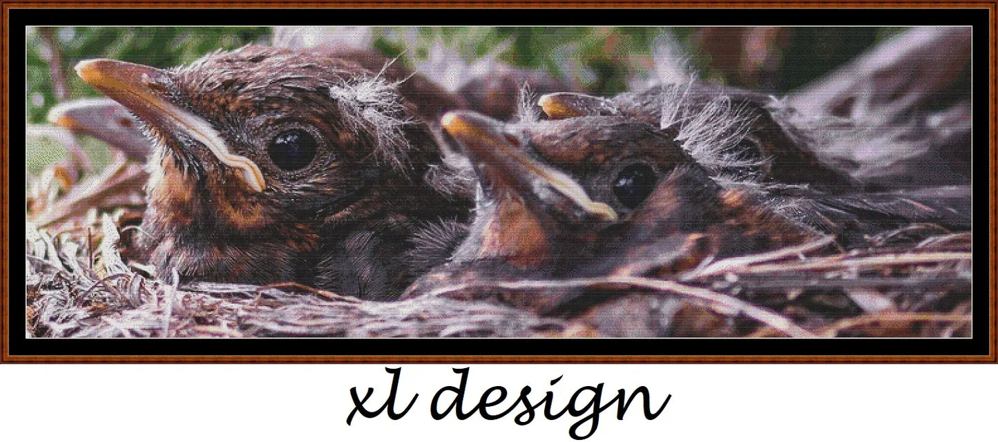 In The Nest 