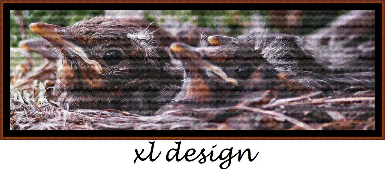 In The Nest 