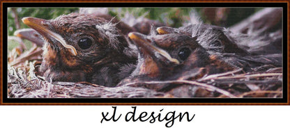 In The Nest 