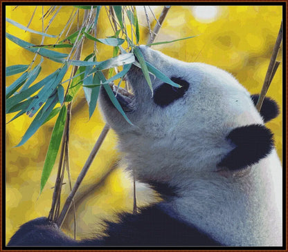 Panda's Lunch 