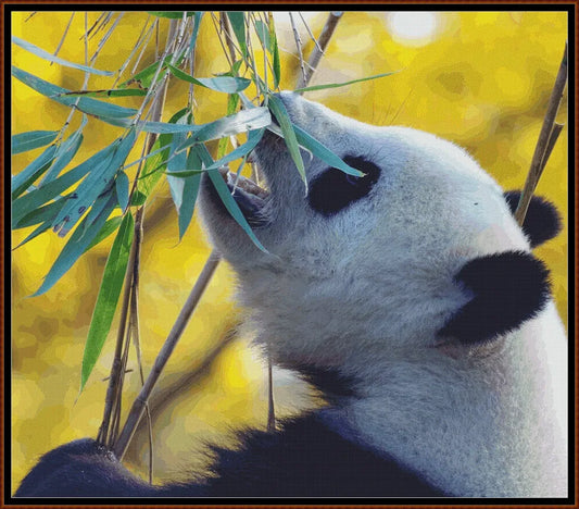 Panda's Lunch 