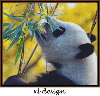 Panda's Lunch 