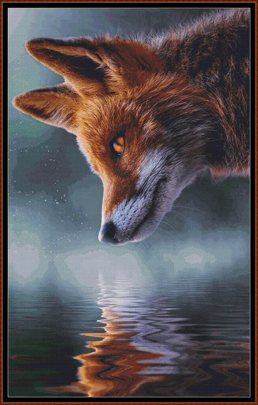 Fox's Reflection 