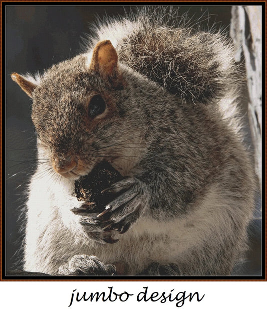 Grey Squirrel 