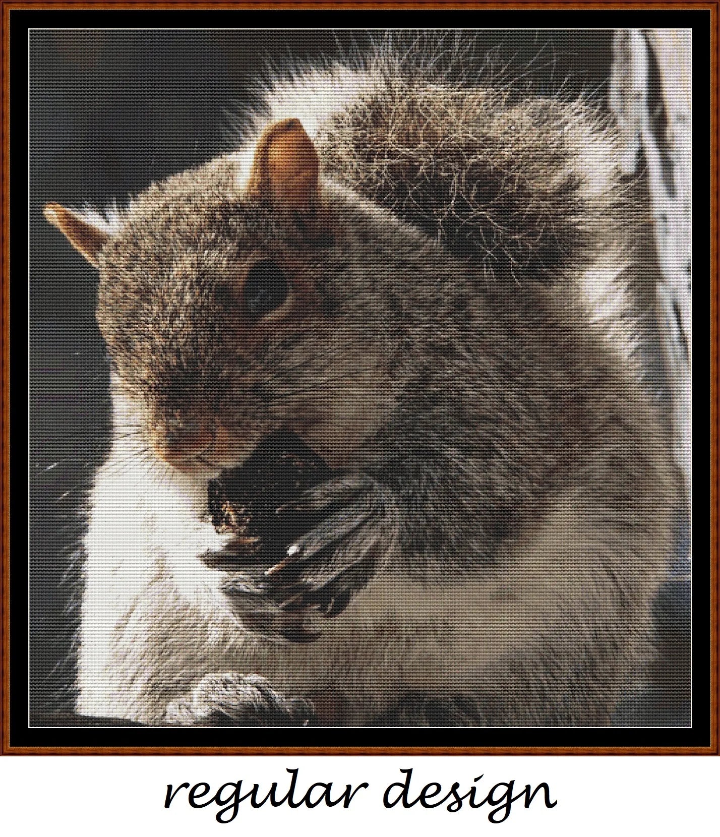 Grey Squirrel 