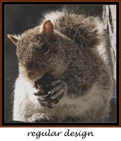 Grey Squirrel 