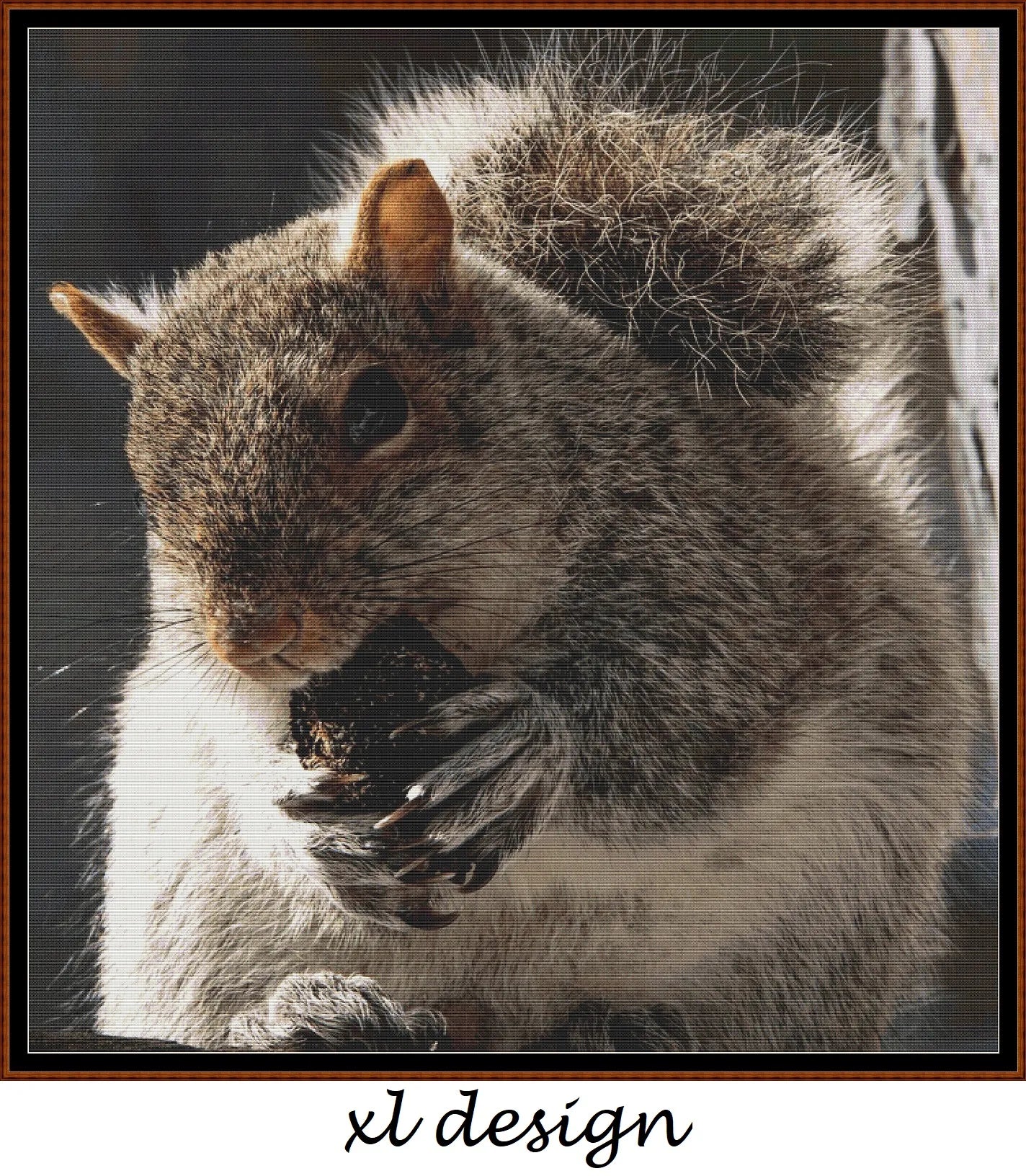 Grey Squirrel 