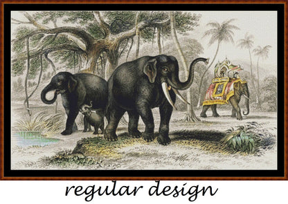 Asiatic Elephant And Caparisoned Elephant