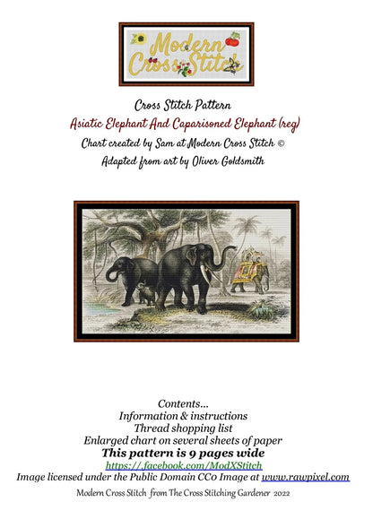 Asiatic Elephant And Caparisoned Elephant