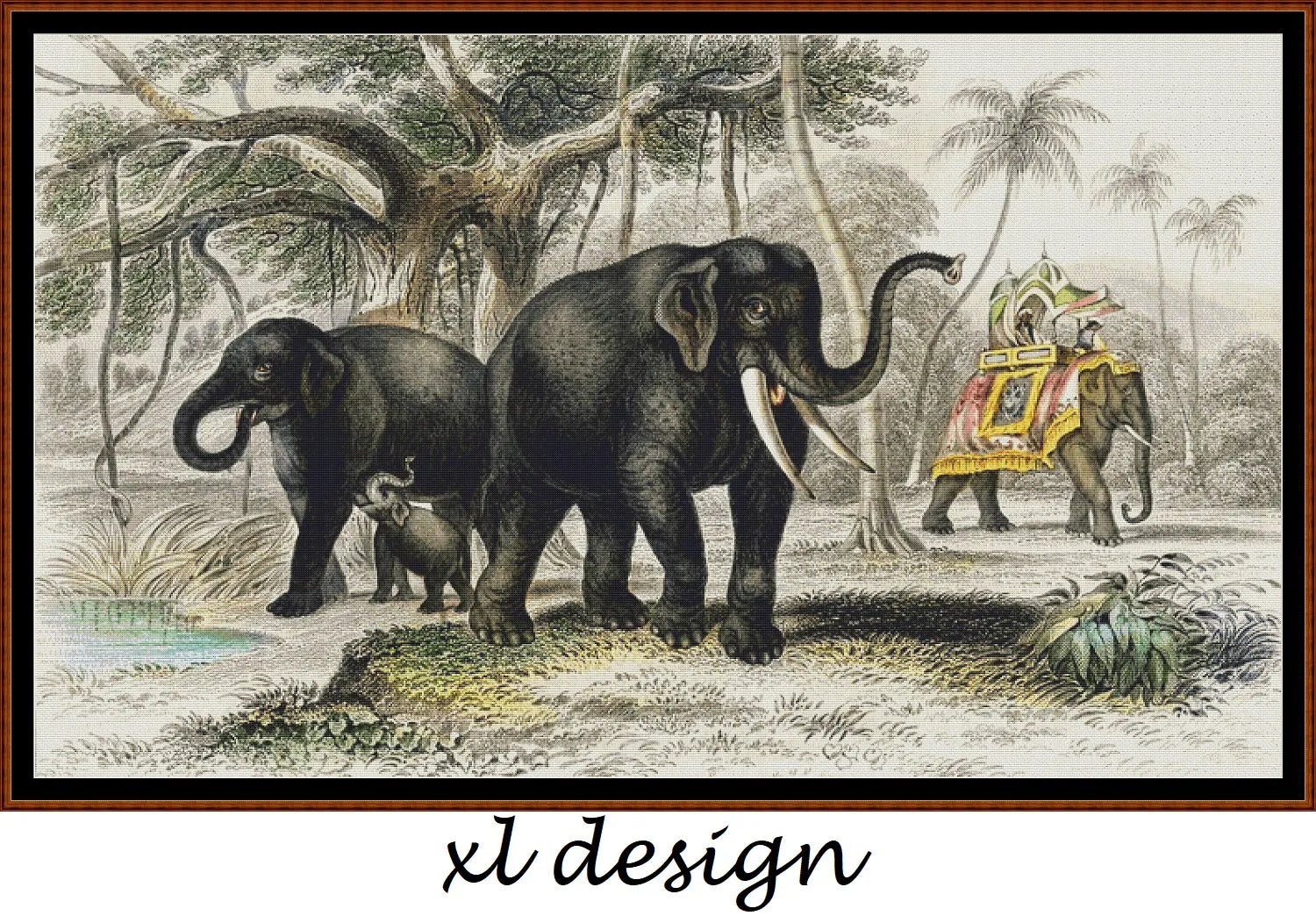Asiatic Elephant And Caparisoned Elephant
