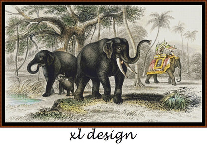 Asiatic Elephant And Caparisoned Elephant