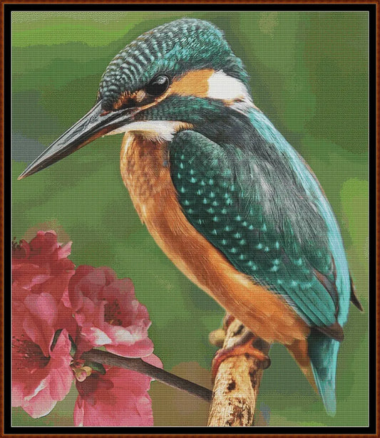 The Kingfisher 