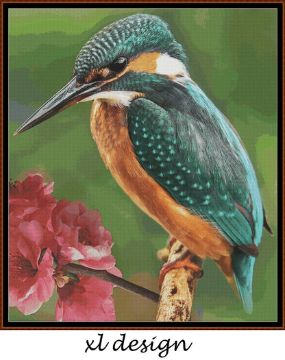 The Kingfisher 