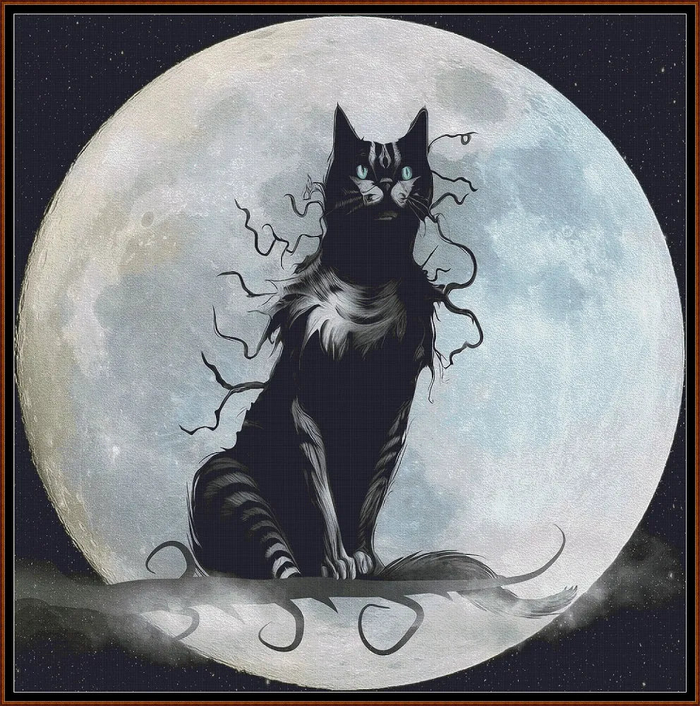 Full Moon Watching