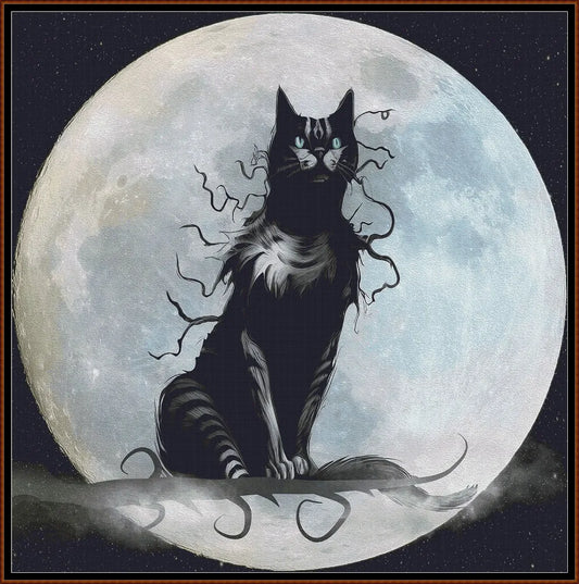 Full Moon Watching