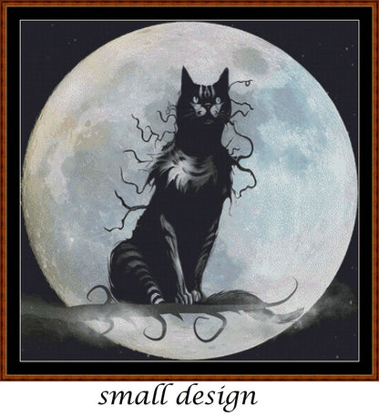 Full Moon Watching