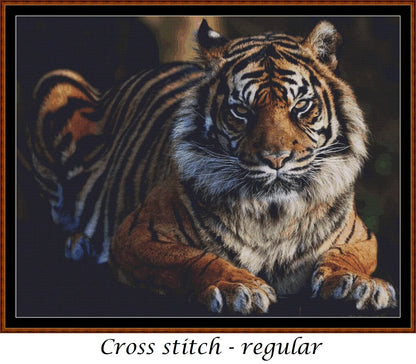 The Real King - Tiger cross stitch