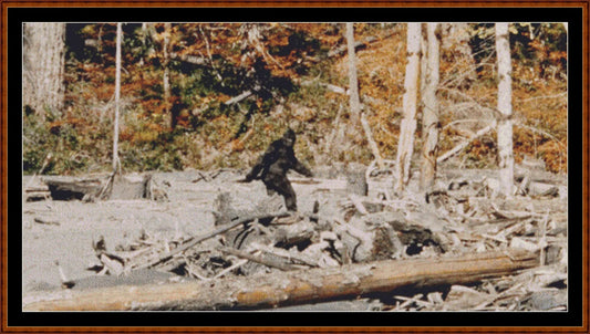 Spotting Bigfoot patterns are expertly created by Sam