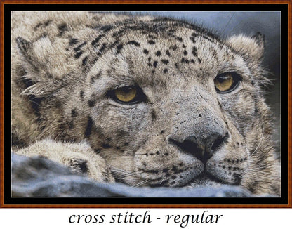 Fed Up leopard patterns are expertly created from art by Angela (ambquinn) under Public Domain CC0 license