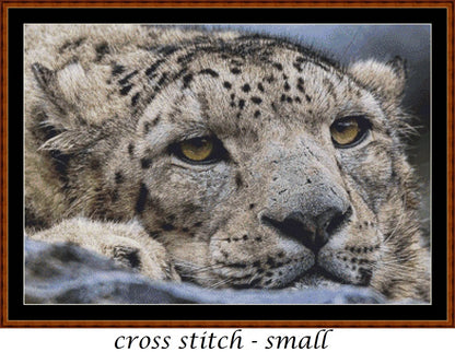 Fed Up leopard patterns are expertly created from art by Angela (ambquinn) under Public Domain CC0 license
