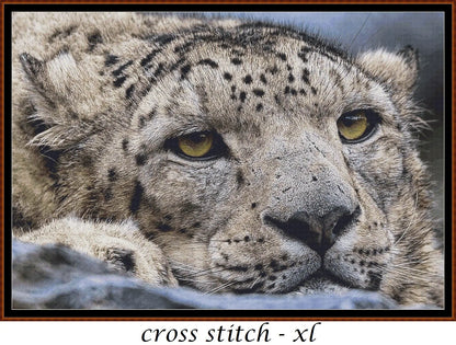 Fed Up leopard patterns are expertly created from art by Angela (ambquinn) under Public Domain CC0 license