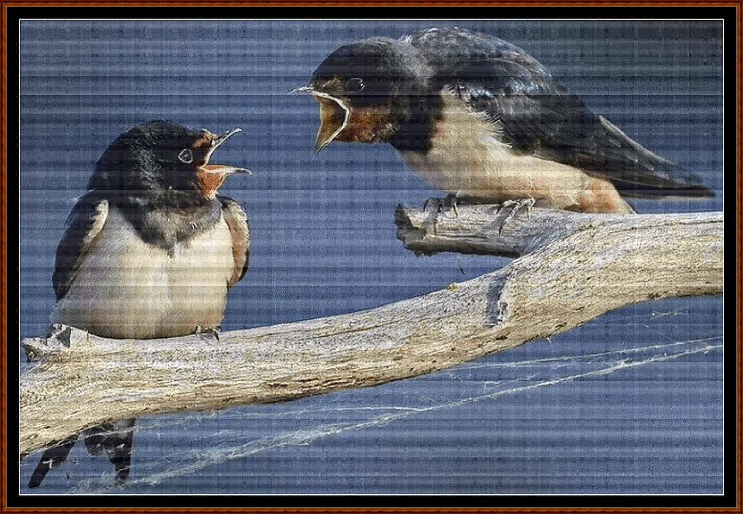 Angry Swallows cross stitch pattern is a garden bird design and is expertly created from art by sharkolot under Public Domain CC0 license