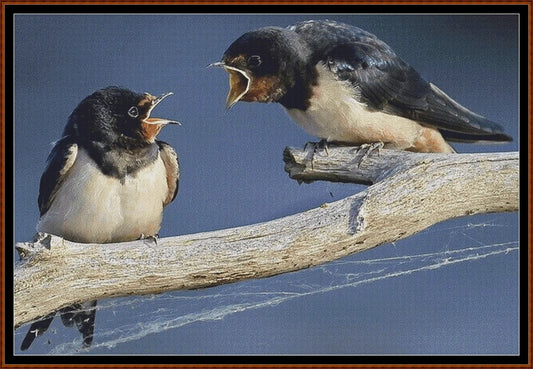 Angry Swallows cross stitch pattern is a garden bird design and is expertly created from art by sharkolot under Public Domain CC0 license