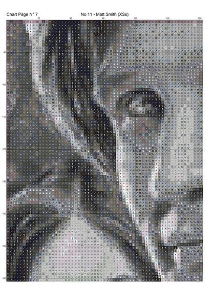 Expertly created cross stitch by Sam,  No 11 - Matt Smith Doctor Who cross stitch patterns.