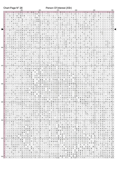 Expertly created by Sam, Person Of Interest patterns. Person Of Interest is an action TV show pattern that comes as a full coverage pattern with no back-stitching. Additionally, Person Of Interest is available in 2 different design sizes - cross stitch regular & XL And each sale includes both B&W and colour charts