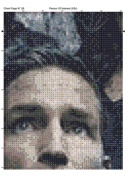 Expertly created by Sam, Person Of Interest patterns. Person Of Interest is an action TV show pattern that comes as a full coverage pattern with no back-stitching. Additionally, Person Of Interest is available in 2 different design sizes - cross stitch regular & XL And each sale includes both B&W and colour charts